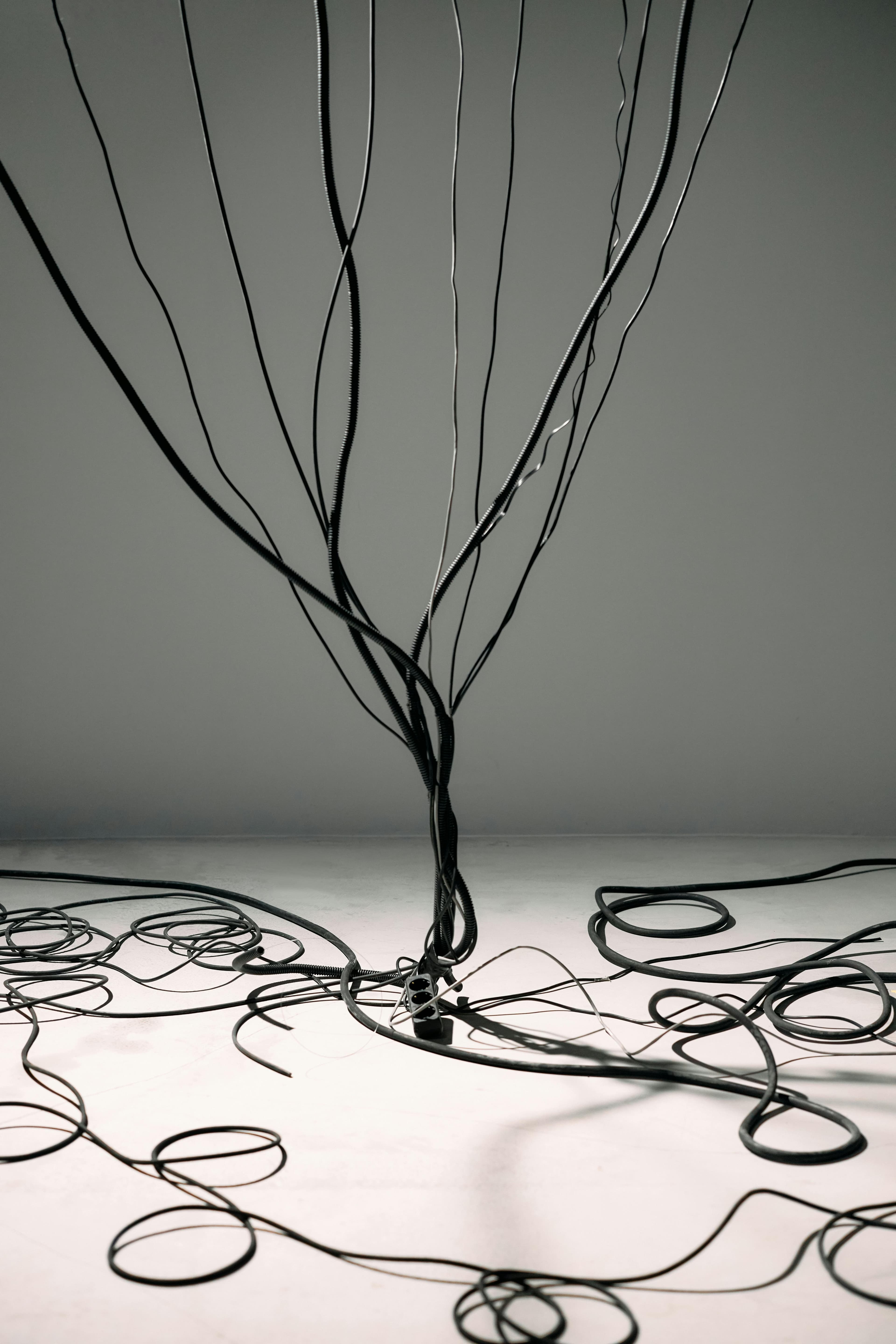 Wire Art